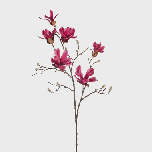 Magnolia Japanese Spray Fuschia 95cm