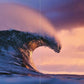 Life Around The Sea
