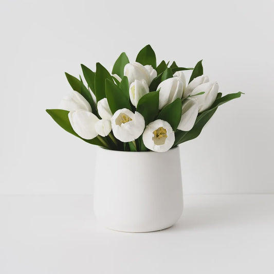 Tulip Mix in White Pot 33cm