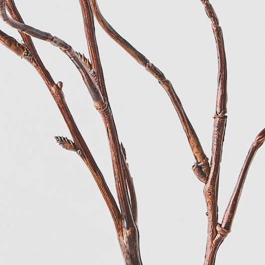 Twig Curly Willow 100 cm Spray - Brown