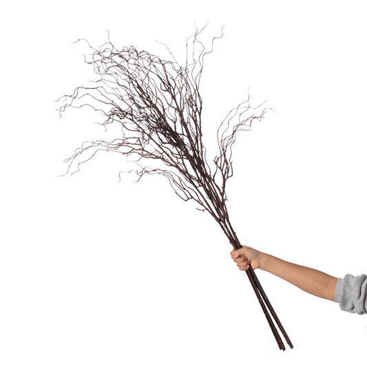 Twig Curly Willow 100 cm Spray