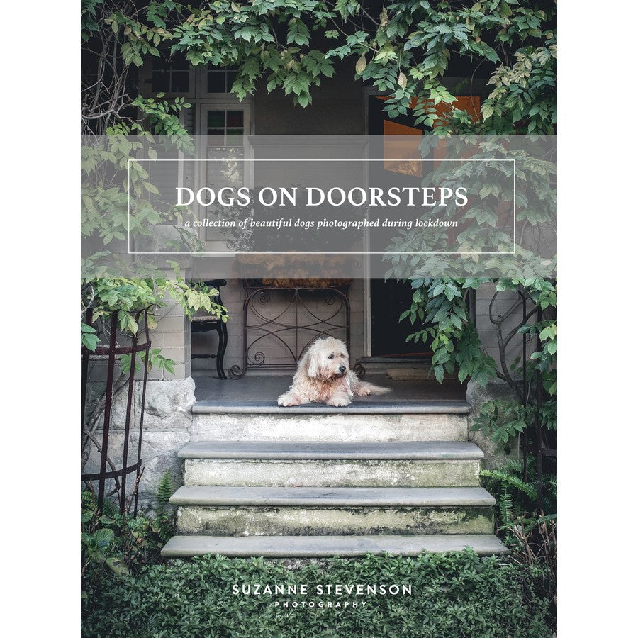 Dogs on Doorsteps