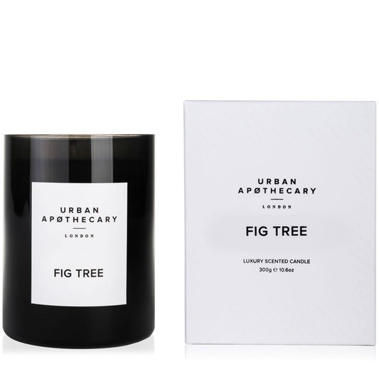 Urban Apothecary Candle Fig Tree