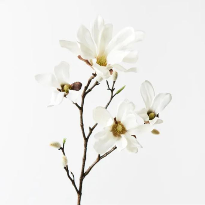 Magnolia Japanese Spray 55cm