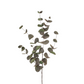 Eucalyptus Silver Dollar Dark Green 101cm
