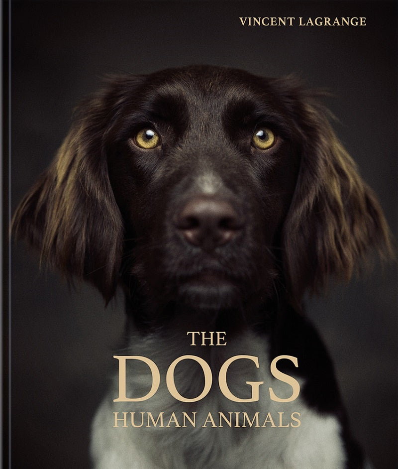Dogs: Human Animals