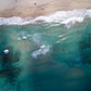 In The Deep 75 x 100 cm