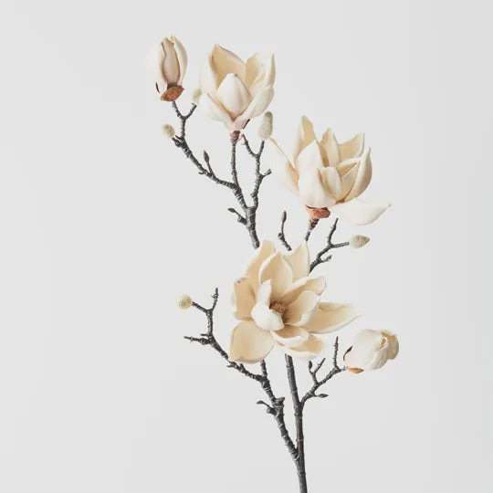 Japanese Magnolia Spray CREAM 79 cm