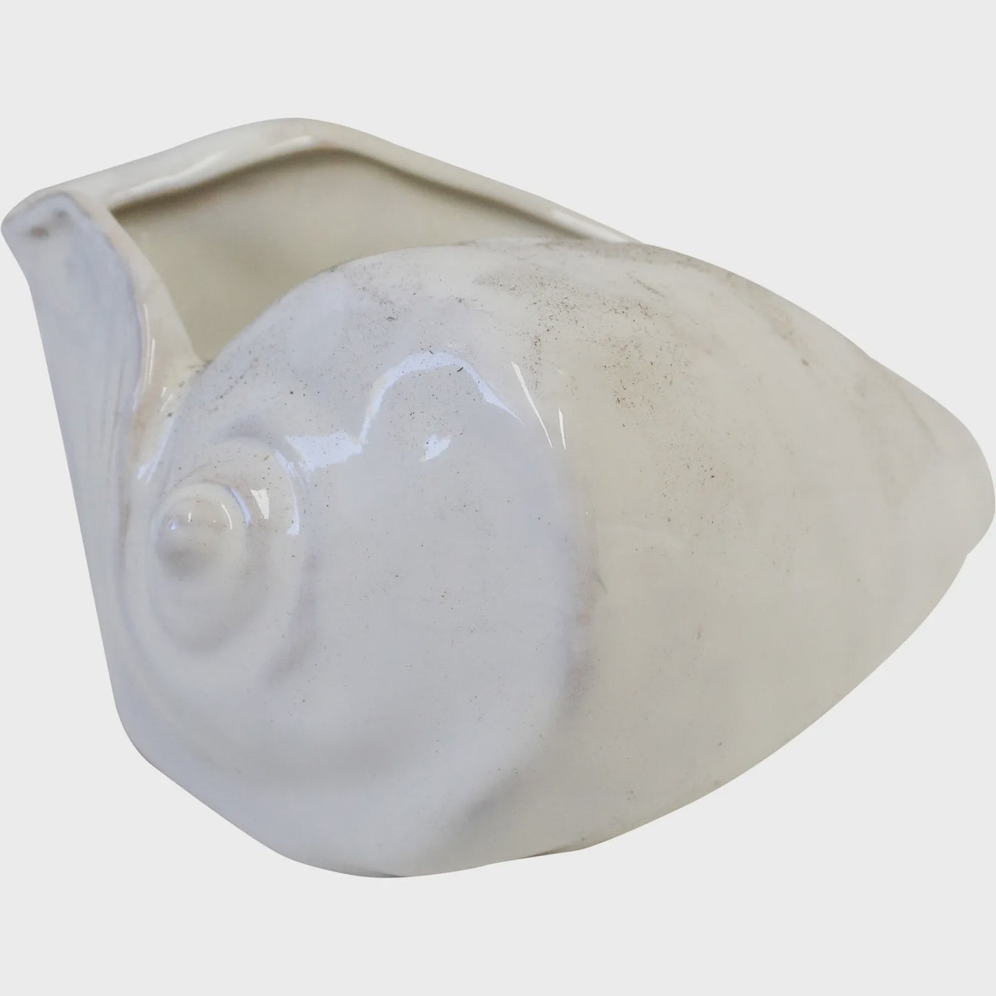 Shell Ivory Ceramic